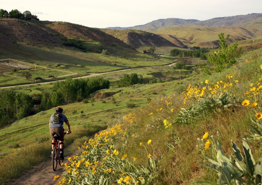 cycle-path-with-green-hills-and-flowers